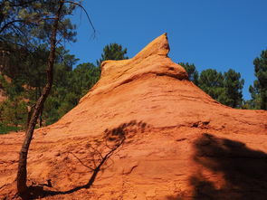 华体会体育在线-一日英超动态阿莫林自信发声转会话题升温，阿莫子林